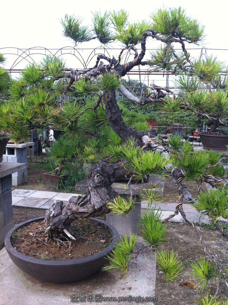 20130824���� 013.jpg