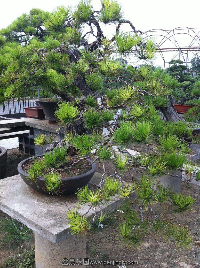 20130824���� 014.jpg