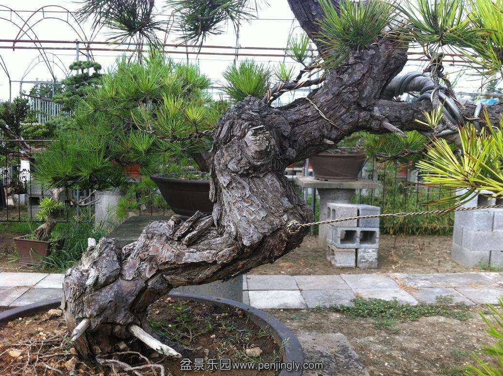 20130824���� 015.jpg