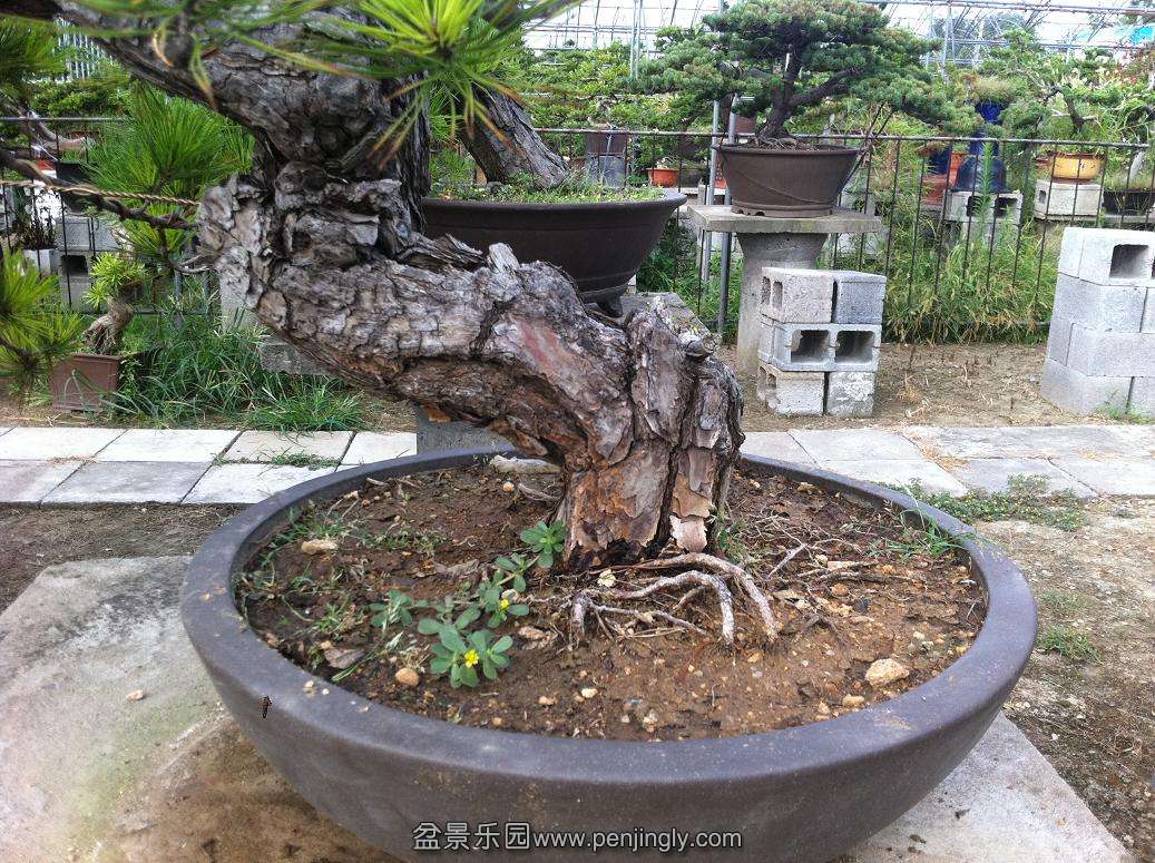 20130824���� 016.jpg