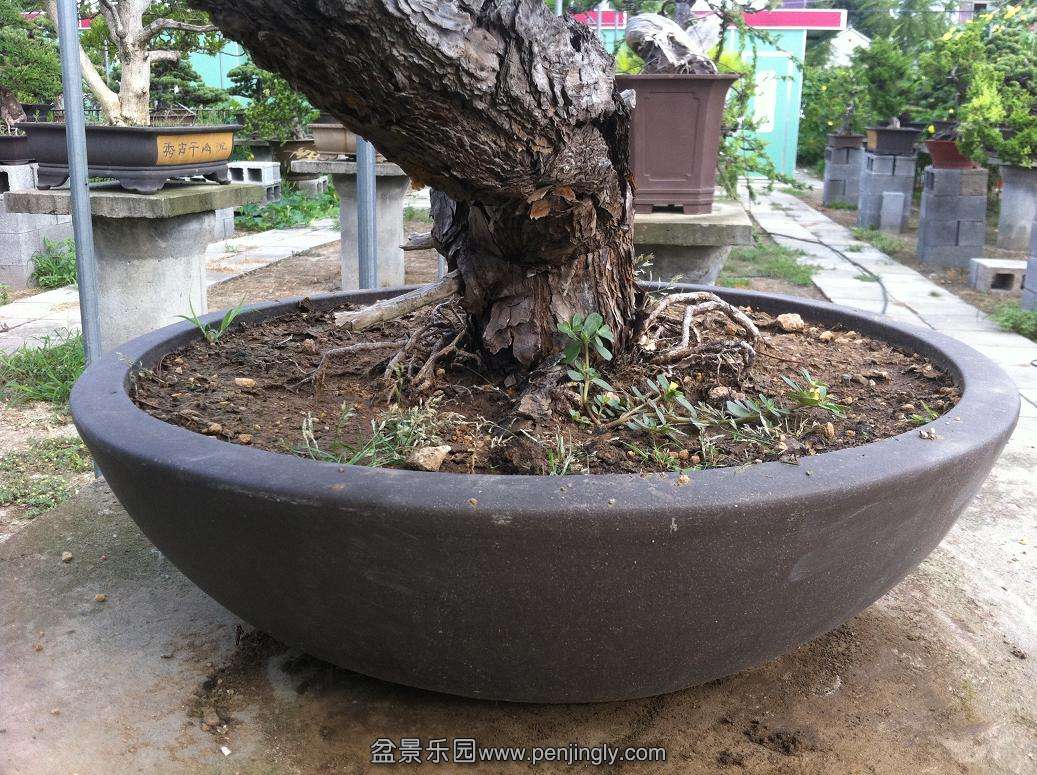 20130824���� 017.jpg