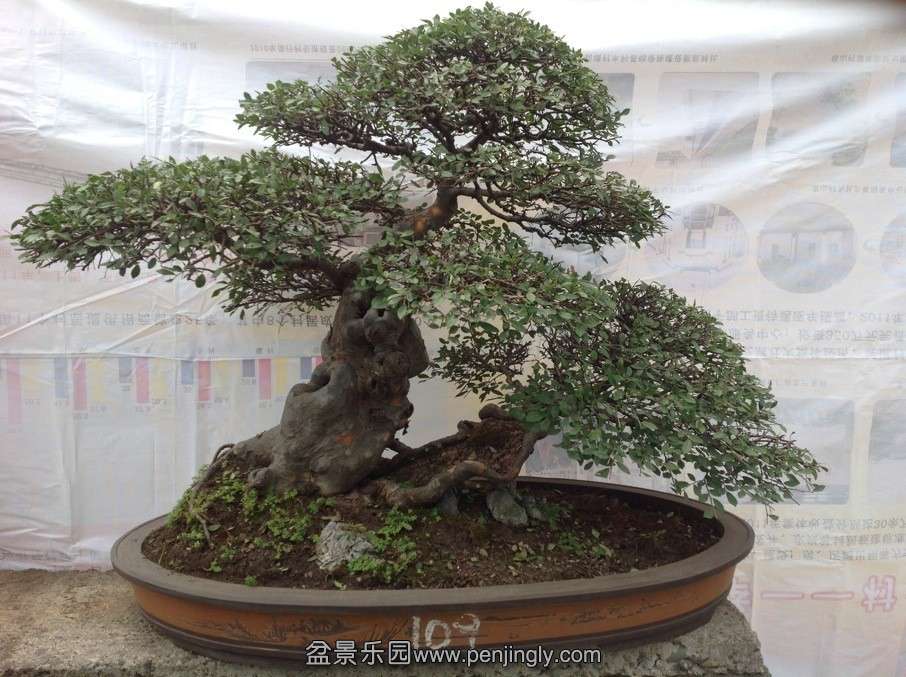 QQͼƬ20130824120448.jpg