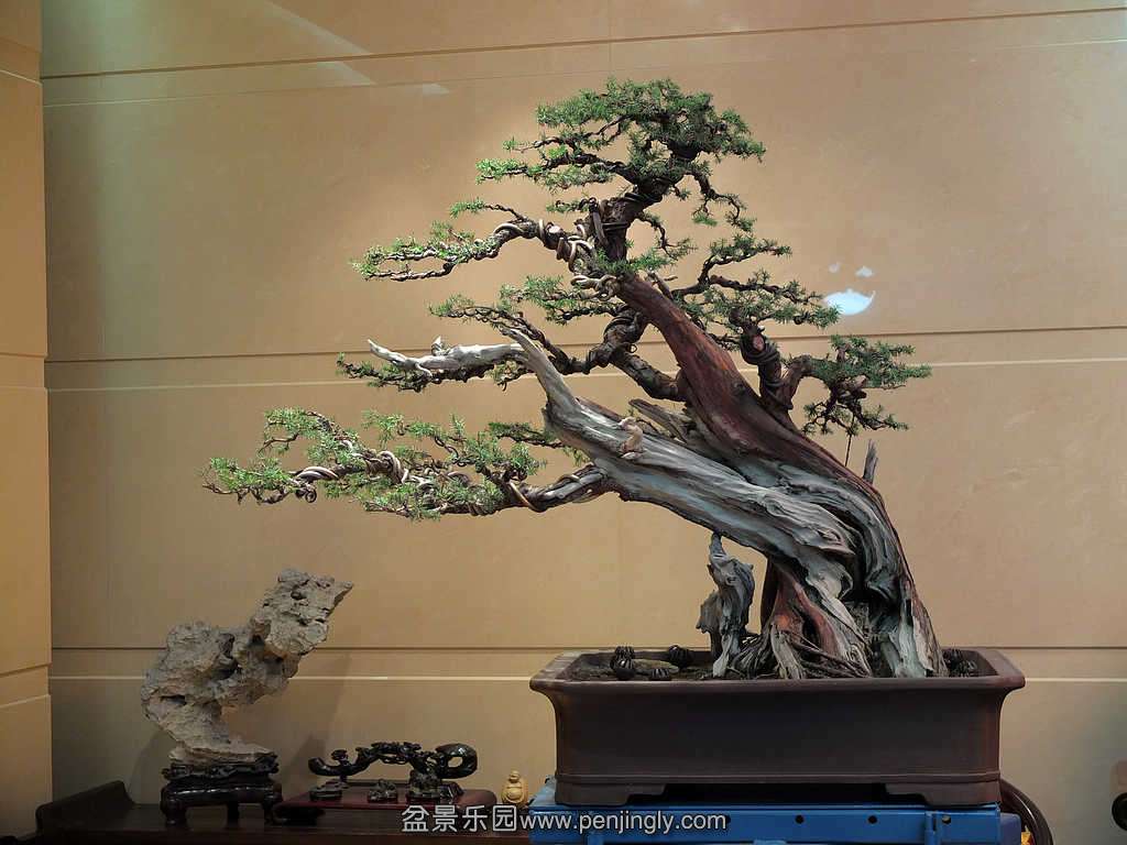 ����б�˴̰� (1).jpg