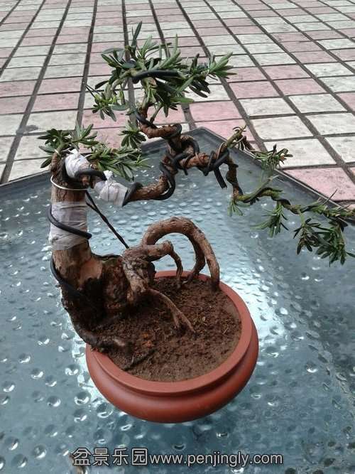 2013-08-25 17.43.33.jpg