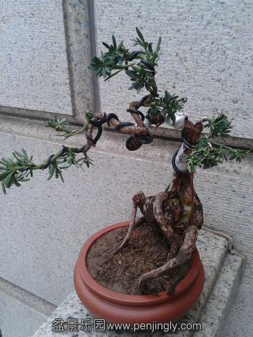 2013-08-25 17.10.41.jpg