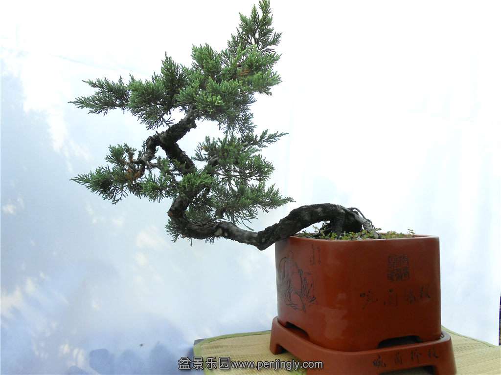 DSCN0674.jpg