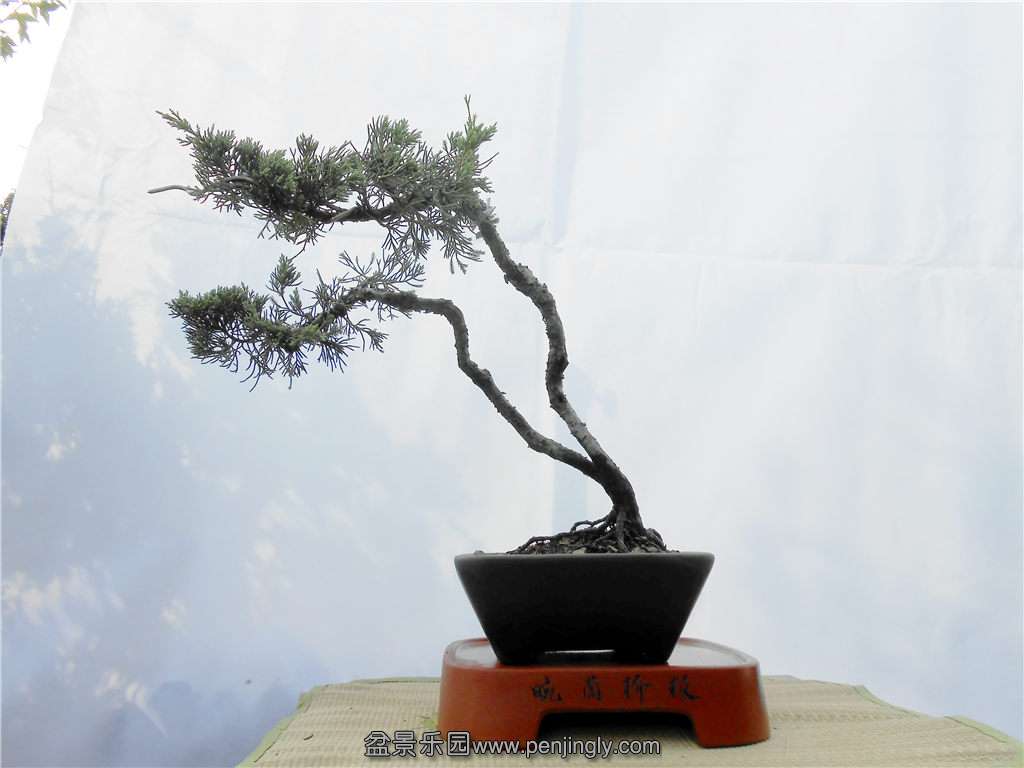 DSCN0675.jpg