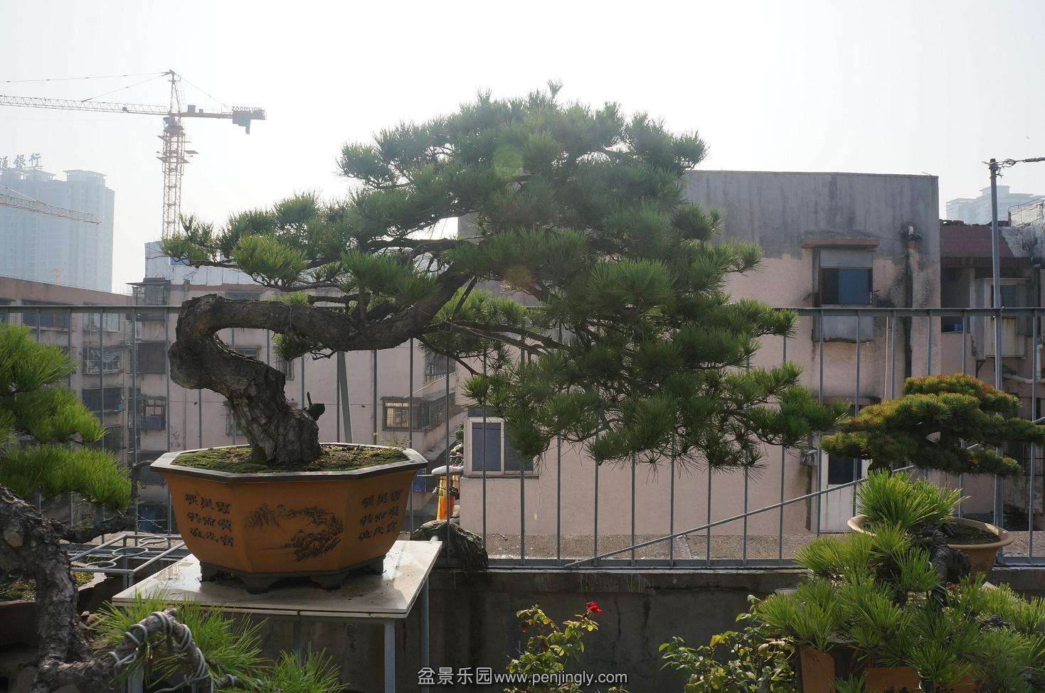 DSC06031.JPG