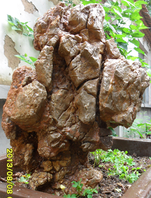 ʯ40x25x15cm.jpg