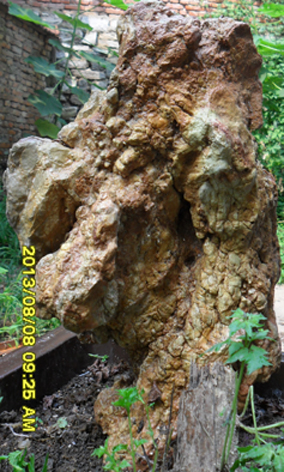 ʯ֮40x25x15cm.jpg