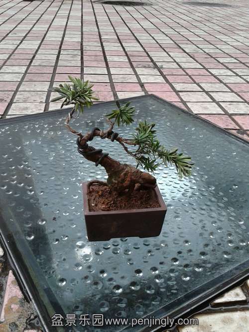 2013-08-25 17.26.18.jpg