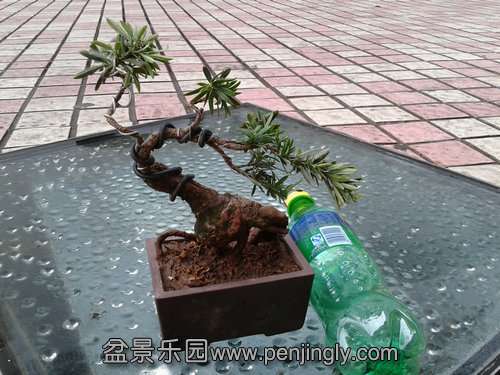 2013-08-25 17.27.12.jpg