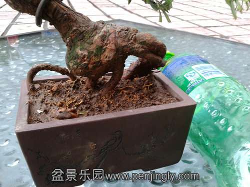 2013-08-25 17.27.26.jpg