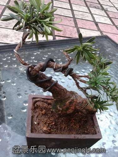 2013-08-25 17.29.07.jpg