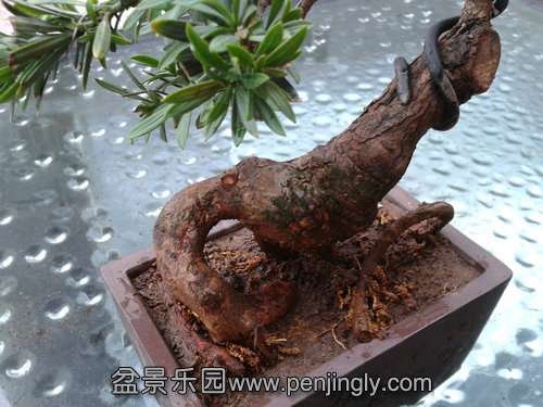 2013-08-25 17.29.24.jpg