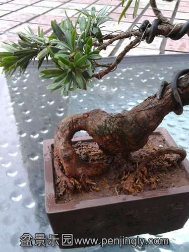 2013-08-25 17.29.41.jpg