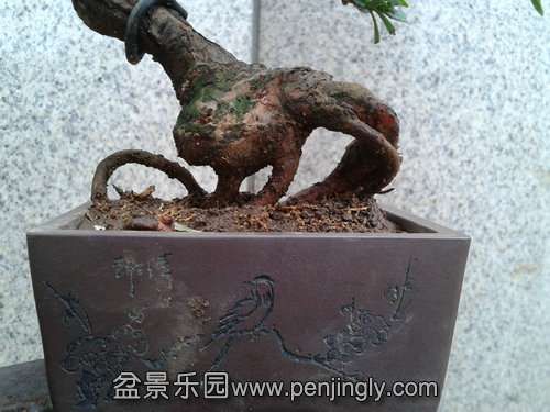 2013-08-25 17.24.58.jpg