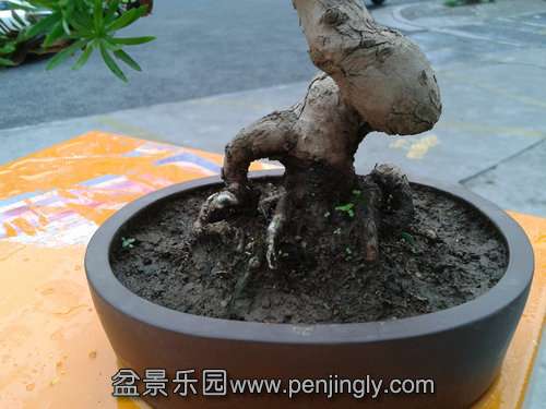 2013-08-25 17.19.05.jpg