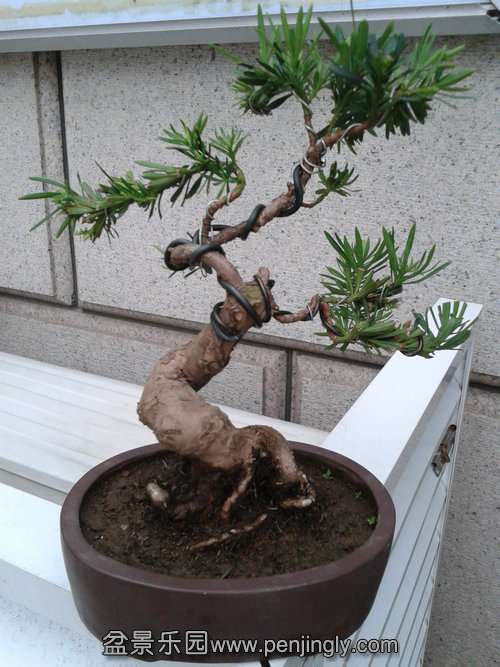 2013-08-25 17.21.11.jpg