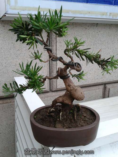 2013-08-25 17.22.27.jpg