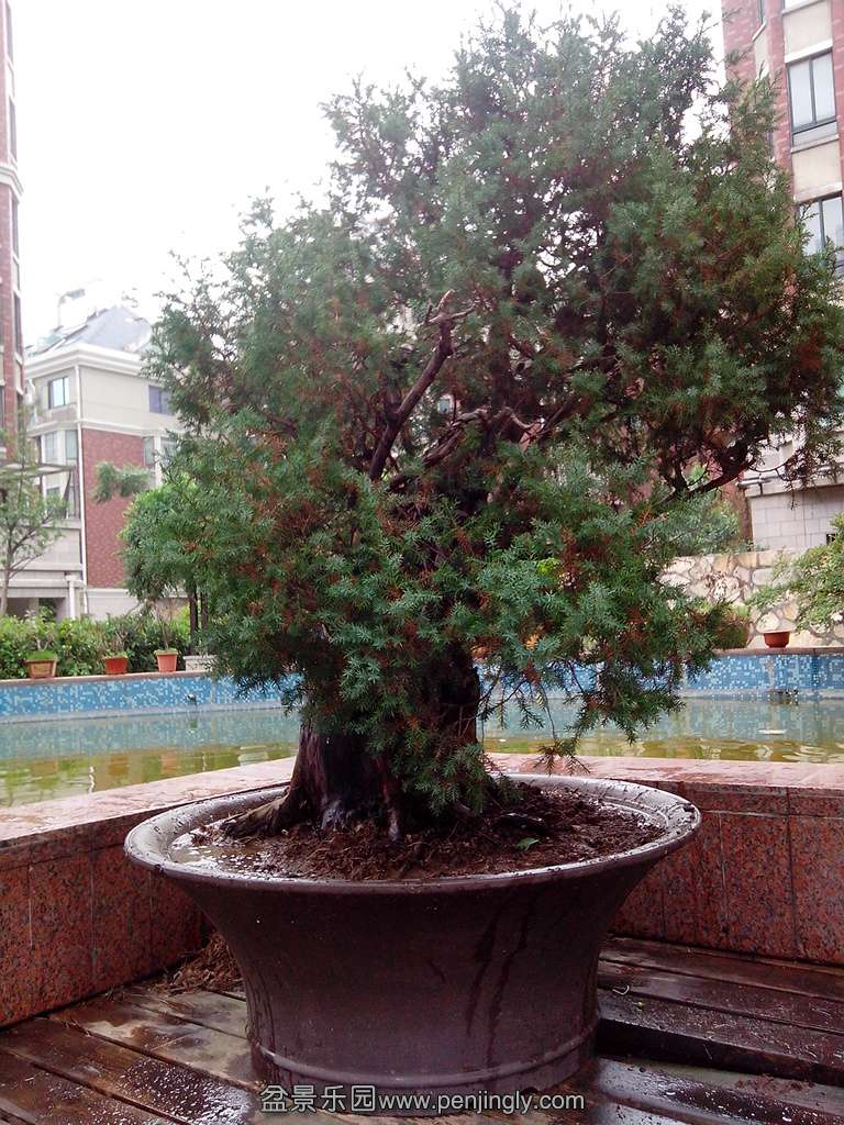 IMG_20130826_113133.jpg
