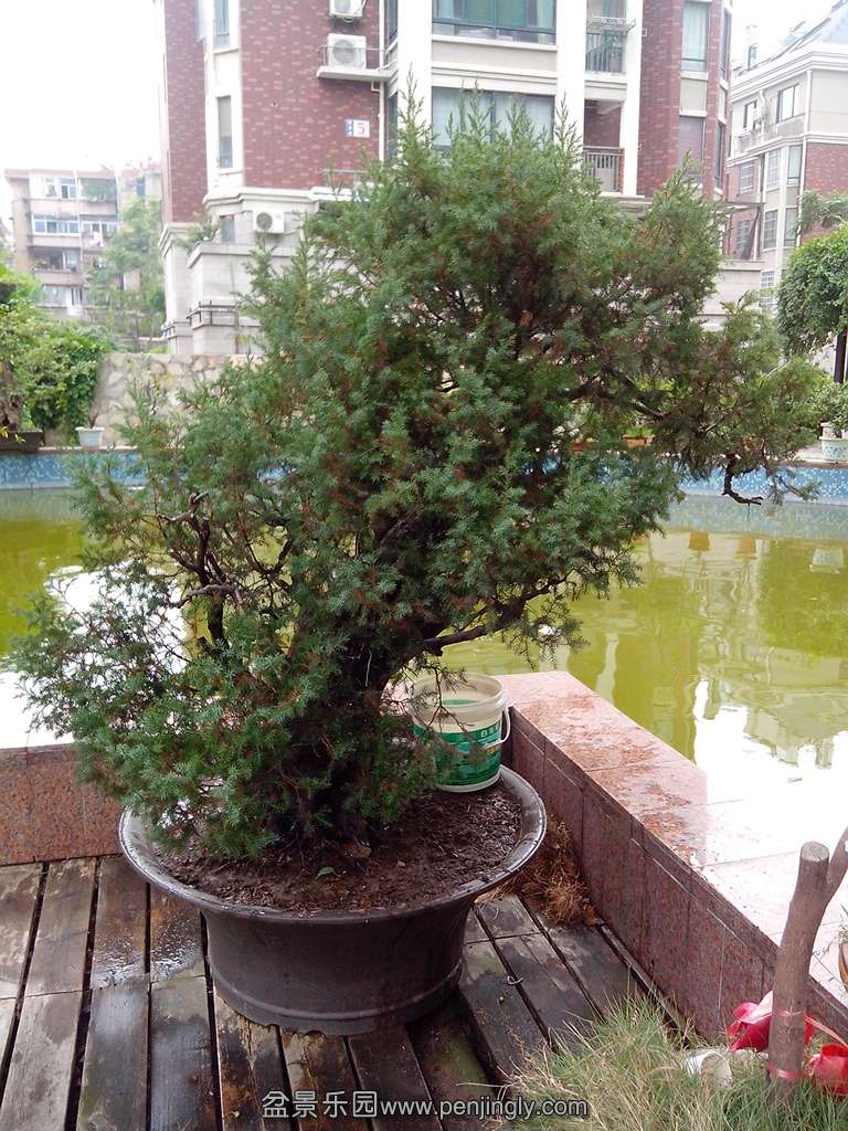 IMG_20130826_113244.jpg