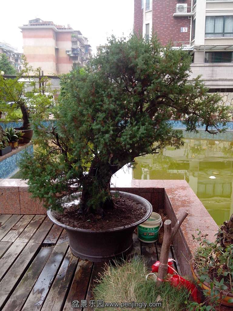 IMG_20130826_113441.jpg