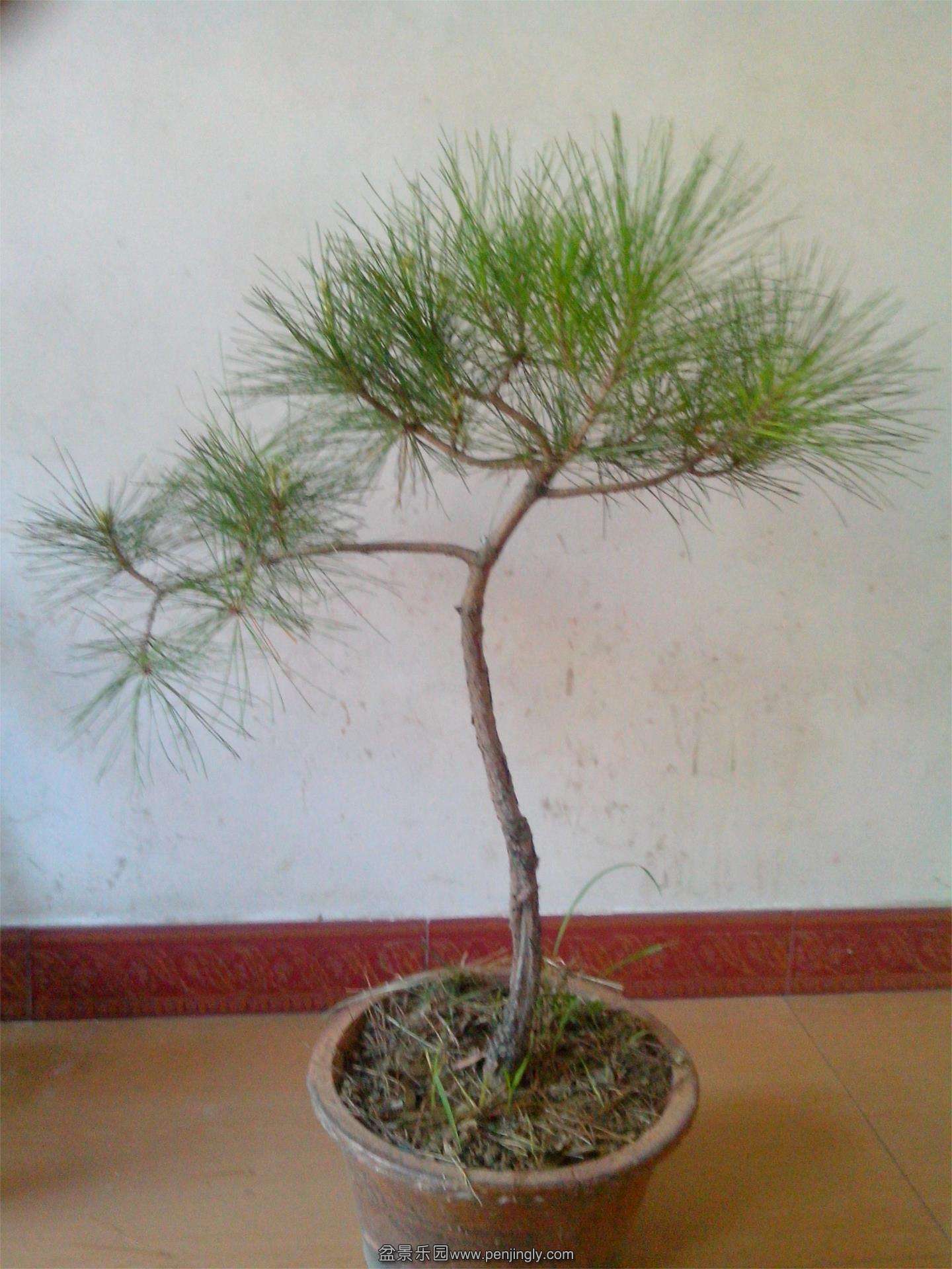 IMG20130807005.jpg