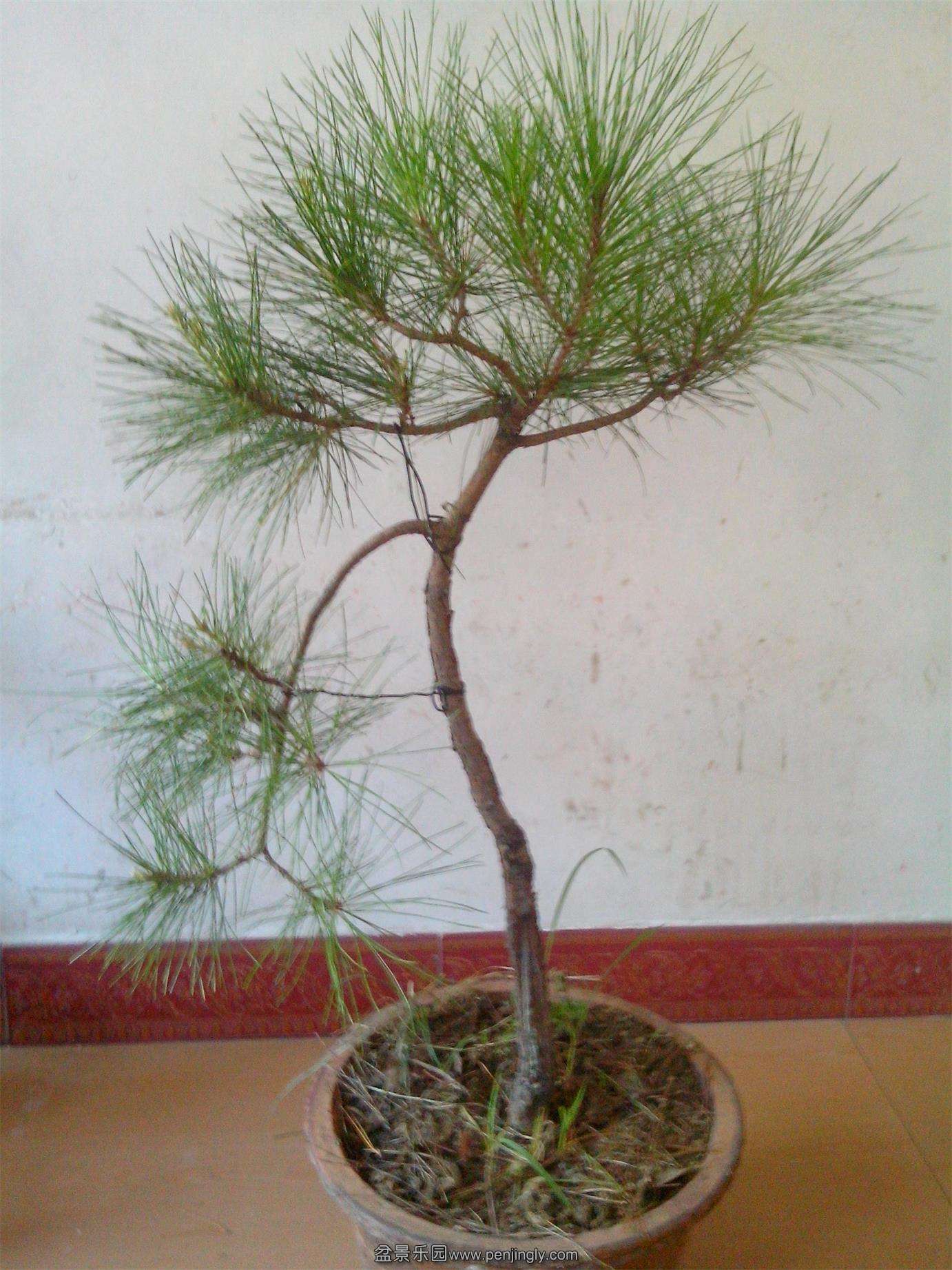 IMG20130807007.jpg