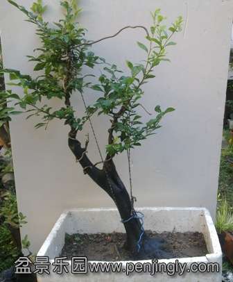 20130813904.jpg