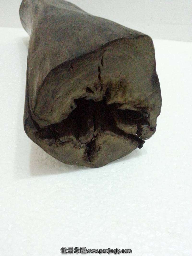 20130826_193251_.jpg