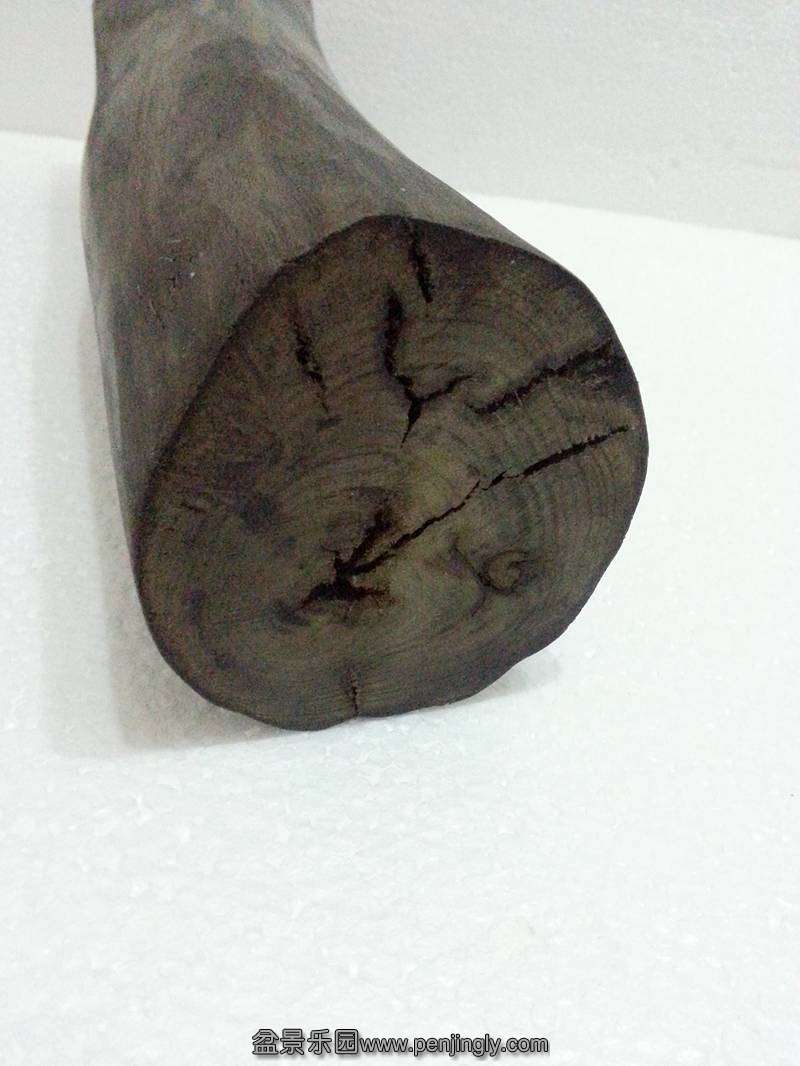 20130826_193243_.jpg