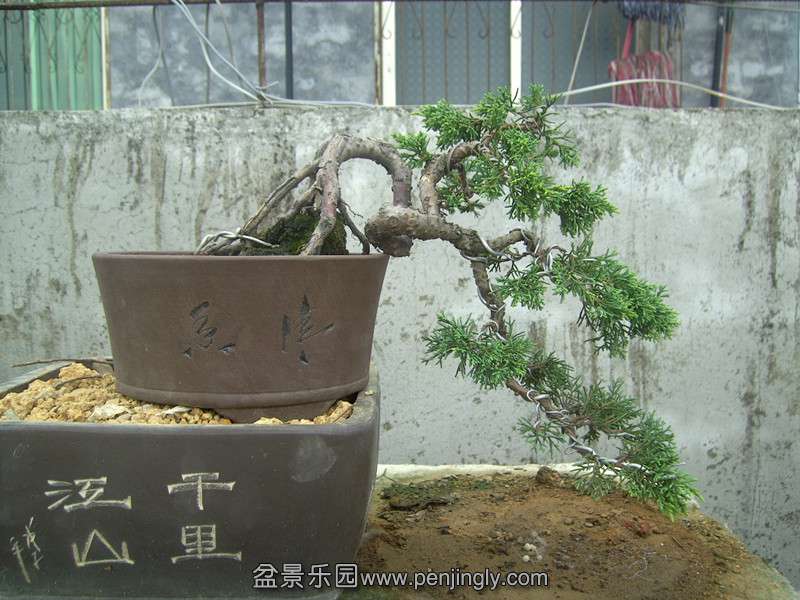PICT1717_.jpg