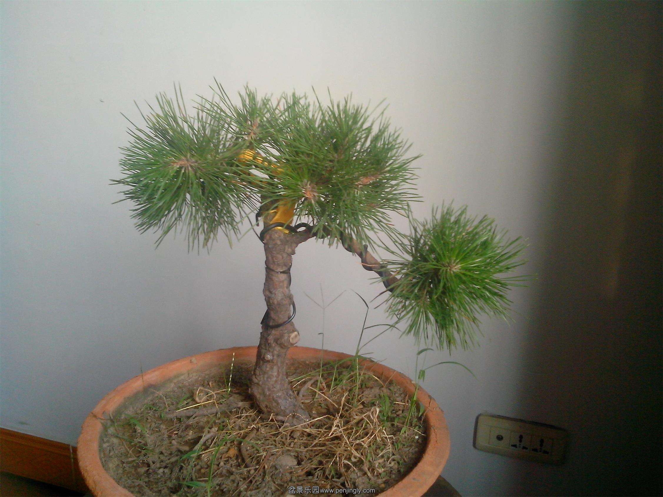 IMG20130828002.jpg