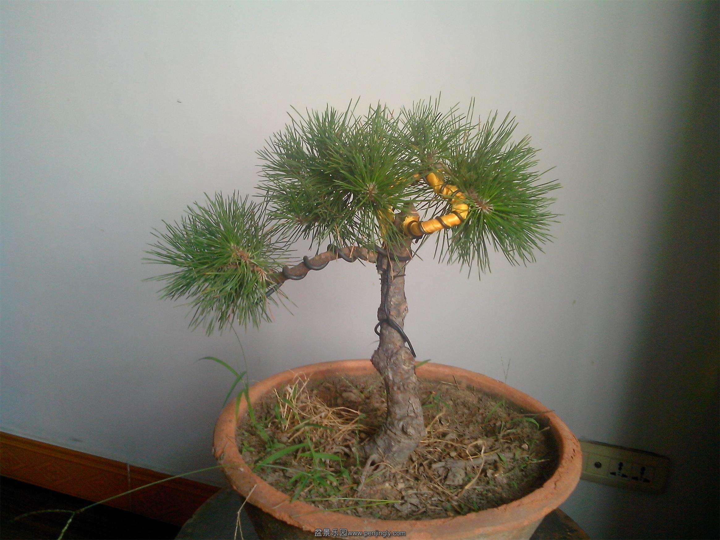 IMG20130828003.jpg