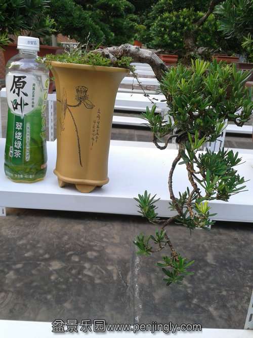 2013-08-28 17.19.52.jpg