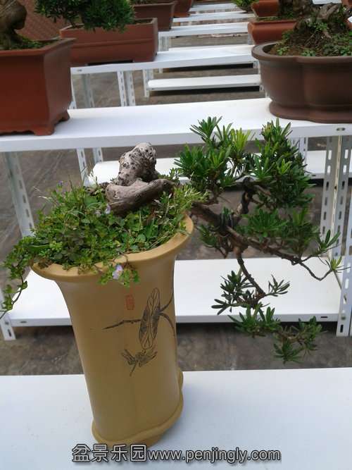 2013-08-28 17.21.26.jpg