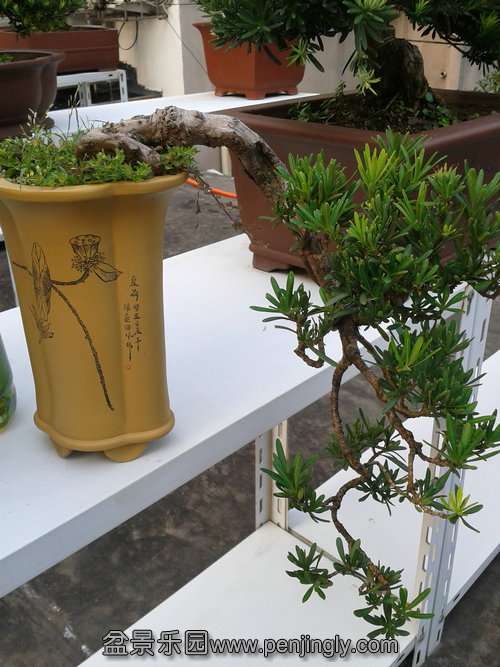 2013-08-28 17.22.11.jpg