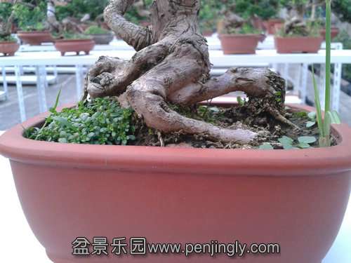 2013-08-28 17.36.08.jpg