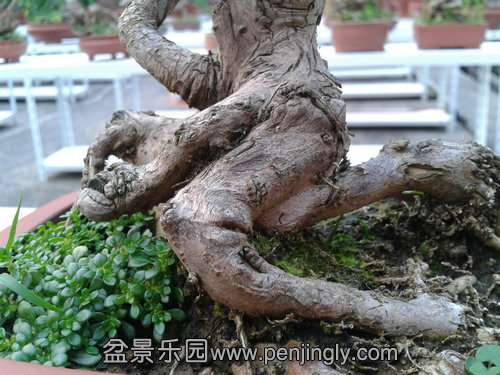 2013-08-28 17.36.23.jpg