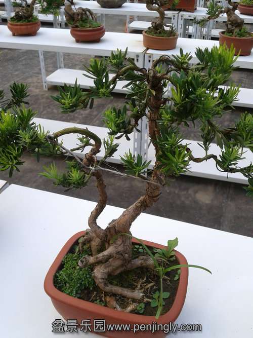 2013-08-28 17.36.56.jpg