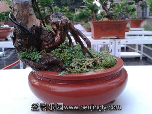 2013-08-28 17.53.15.jpg