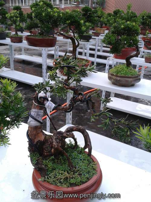 2013-08-28 17.53.36.jpg