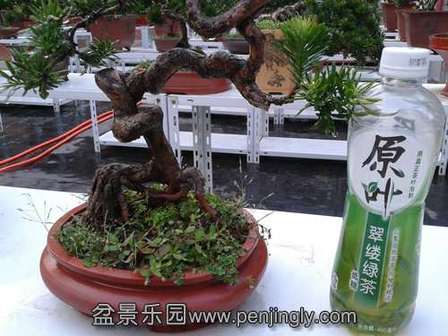 2013-08-28 17.54.16.jpg