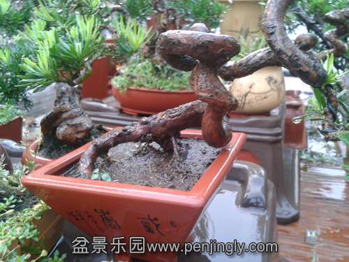 2013-08-28 17.58.34.jpg