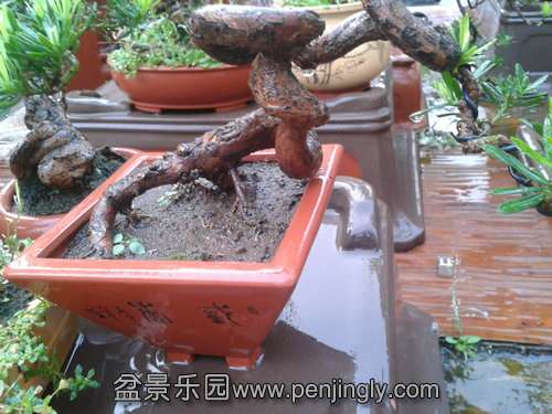 2013-08-28 17.58.49.jpg