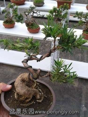 2013-08-28 17.29.33.jpg