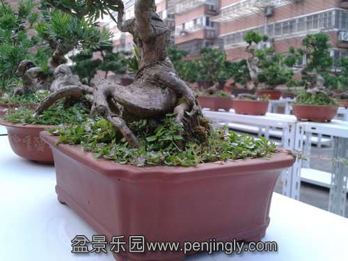 2013-08-28 17.33.59.jpg