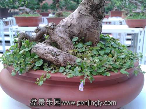 2013-08-28 17.35.03.jpg