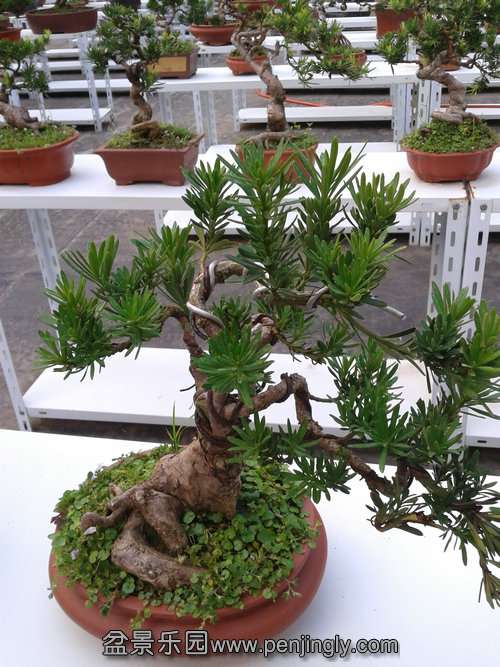 2013-08-28 17.35.18.jpg